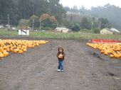 trips/2007-10-15_hmb_pumpkins/IMG_5540_800.jpg