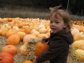 trips/2007-10-15_hmb_pumpkins/IMG_5541_800.jpg
