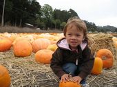 trips/2007-10-15_hmb_pumpkins/IMG_5544_800.jpg