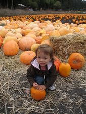 trips/2007-10-15_hmb_pumpkins/IMG_5545_800.jpg