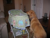tulia/2004-12-03/baby319_1024.jpg