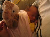 tulia/2004-12-05/baby410_1024.jpg