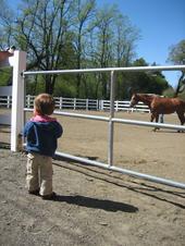 tulia/2006-04-19_Horse_ranch/IMG_0426_800.jpg