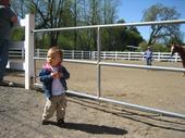 tulia/2006-04-19_Horse_ranch/IMG_0428_800.jpg
