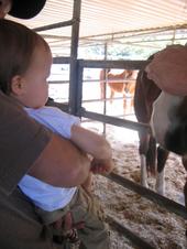 tulia/2006-04-19_Horse_ranch/IMG_0446_800.jpg
