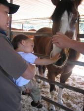 tulia/2006-04-19_Horse_ranch/IMG_0448_800.jpg