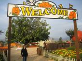 tulia/2006-09-30_pumpkin_patch/IMG_1209_800.jpg