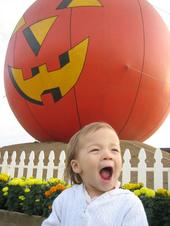 Tulia and the pumpkins