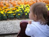 tulia/2006-09-30_pumpkin_patch/IMG_1225_800.jpg