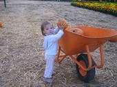 tulia/2006-09-30_pumpkin_patch/IMG_1229_800.jpg