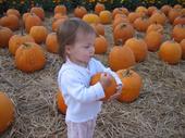 tulia/2006-09-30_pumpkin_patch/IMG_1230_800.jpg