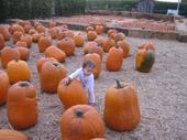 tulia/2006-09-30_pumpkin_patch/IMG_1232_800.jpg
