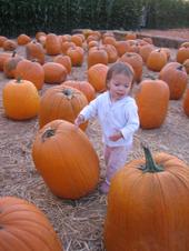 tulia/2006-09-30_pumpkin_patch/IMG_1233_800.jpg