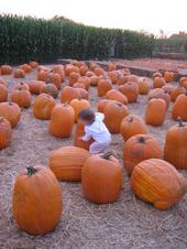 tulia/2006-09-30_pumpkin_patch/IMG_1234_800.jpg