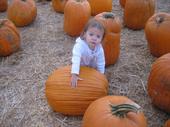 tulia/2006-09-30_pumpkin_patch/IMG_1235_800.jpg