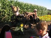 tulia/2006-10-08_pumpkin_patch/IMG_1397_800.jpg