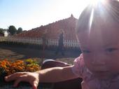 tulia/2006-10-08_pumpkin_patch/IMG_1403_800.jpg