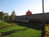 tulia/2006-10-08_pumpkin_patch/IMG_1404_800.jpg