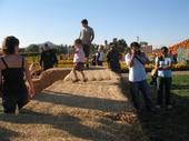 tulia/2006-10-08_pumpkin_patch/IMG_1411_800.jpg