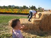 tulia/2006-10-08_pumpkin_patch/IMG_1416_800.jpg