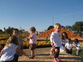tulia/2006-10-08_pumpkin_patch/IMG_1418_800.jpg