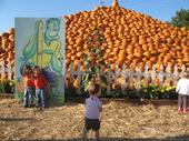 tulia/2006-10-08_pumpkin_patch/IMG_1424_800.jpg