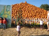 tulia/2006-10-08_pumpkin_patch/IMG_1425_800.jpg