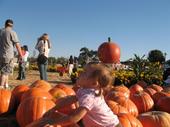 tulia/2006-10-08_pumpkin_patch/IMG_1428_800.jpg