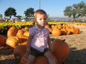 tulia/2006-10-08_pumpkin_patch/IMG_1429_800.jpg