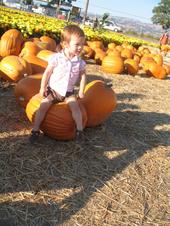tulia/2006-10-08_pumpkin_patch/IMG_1430_800.jpg
