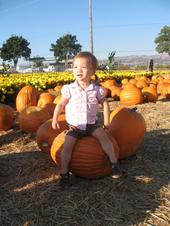 tulia/2006-10-08_pumpkin_patch/IMG_1431_800.jpg
