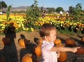 tulia/2006-10-08_pumpkin_patch/IMG_1445_800.jpg