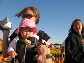 tulia/2006-10-08_pumpkin_patch/IMG_1446_800.jpg