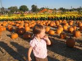 tulia/2006-10-08_pumpkin_patch/IMG_1449_800.jpg