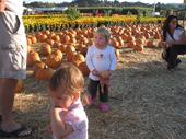 tulia/2006-10-08_pumpkin_patch/IMG_1450_800.jpg