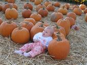 tulia/2006-10-08_pumpkin_patch/IMG_1451_800.jpg