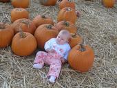 tulia/2006-10-08_pumpkin_patch/IMG_1452_800.jpg