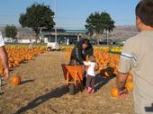 tulia/2006-10-08_pumpkin_patch/IMG_1453_800.jpg