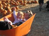 tulia/2006-10-08_pumpkin_patch/IMG_1455_800.jpg