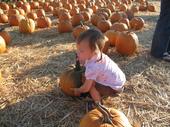 tulia/2006-10-08_pumpkin_patch/IMG_1456_800.jpg