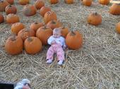 tulia/2006-10-08_pumpkin_patch/IMG_1458_800.jpg