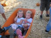 tulia/2006-10-08_pumpkin_patch/IMG_1464_800.jpg