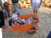 tulia/2006-10-08_pumpkin_patch/IMG_1467_800.jpg