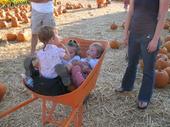 tulia/2006-10-08_pumpkin_patch/IMG_1469_800.jpg