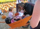tulia/2006-10-08_pumpkin_patch/IMG_1470_800.jpg