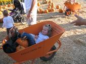 tulia/2006-10-08_pumpkin_patch/IMG_1471_800.jpg