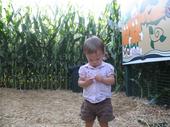 tulia/2006-10-08_pumpkin_patch/IMG_1476_800.jpg