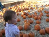 tulia/2006-10-08_pumpkin_patch/IMG_1479_800.jpg