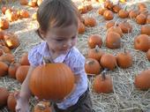 tulia/2006-10-08_pumpkin_patch/IMG_1480_800.jpg