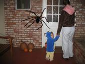 tulia/2006-10-31_halloween/IMG_1797_800.jpg